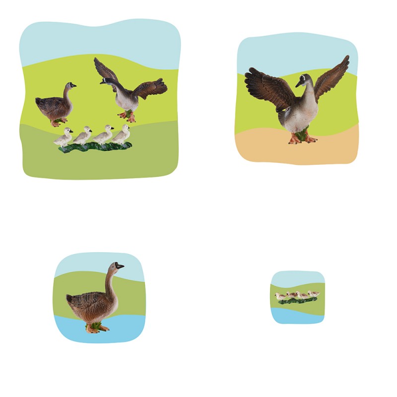 Gans Familie Wachstumspuzzle Gans Familie Wachstumspuzzle