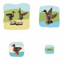 Ente Familie Wachstumspuzzle