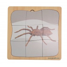 Spinne Wachstumspuzzle