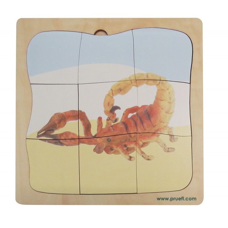 Scorpion Growth Puzzle