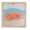 Octopus Growth Puzzle