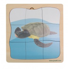 Meeresschildkröte Wachstumspuzzle