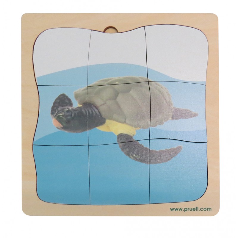 Meeresschildkröte Wachstumspuzzle Meeresschildkröte Wachstumspuzzle