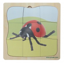 Marienkäfer Wachstumspuzzle