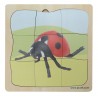 Ladybug Growth Puzzle