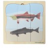 Salmon growth puzzle