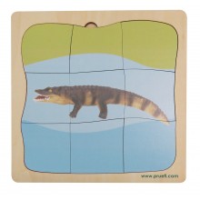 Krokodil Wachstumspuzzle