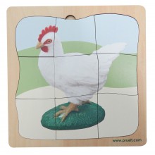 Huhn Wachstumspuzzle
