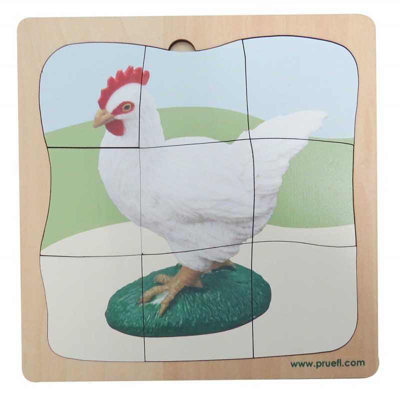 Huhn Wachstumspuzzle Huhn Wachstumspuzzle