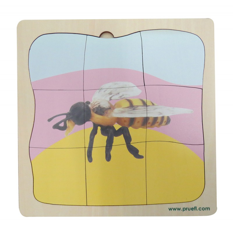 Biene Wachstumspuzzle Biene Wachstumspuzzle