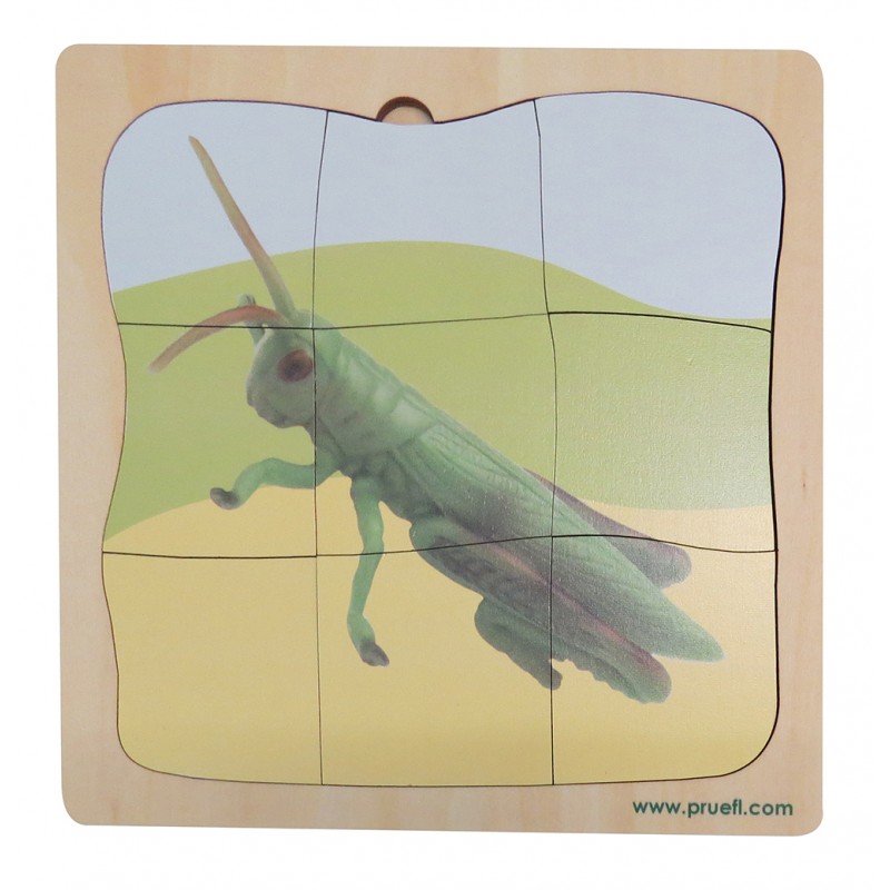 Heuschrecke Wachstumspuzzle - Lagenpuzzle