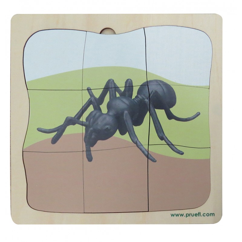 Ameise Wachstumspuzzle - Lagenpuzzle