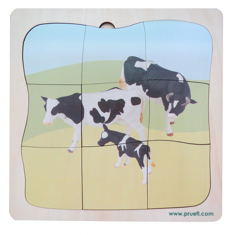 Rind Familie Wachstumspuzzle Rind Familie Wachstumspuzzle