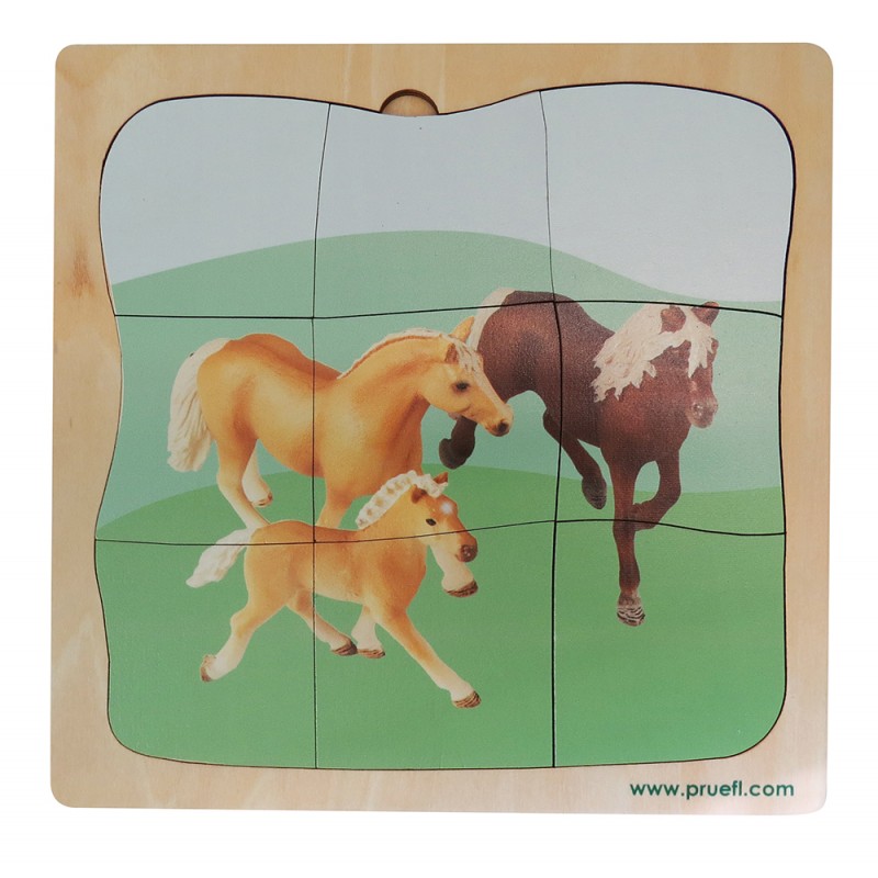 Horse Family Growth Puzzle