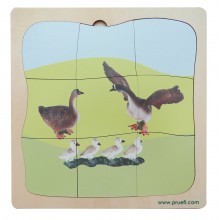 Gans Familie Wachstumspuzzle
