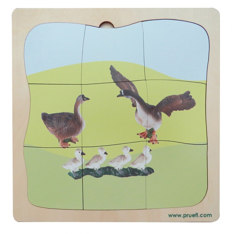 Gans Familie Wachstumspuzzle Gans Familie Wachstumspuzzle
