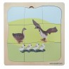 Gans Familie Wachstumspuzzle Gans Familie Wachstumspuzzle