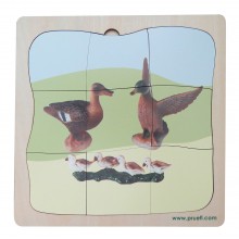 Ente Familie Wachstumspuzzle