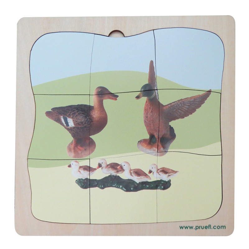 Entenfamilie Wachstumspuzzle Entenfamilie Wachstumspuzzle