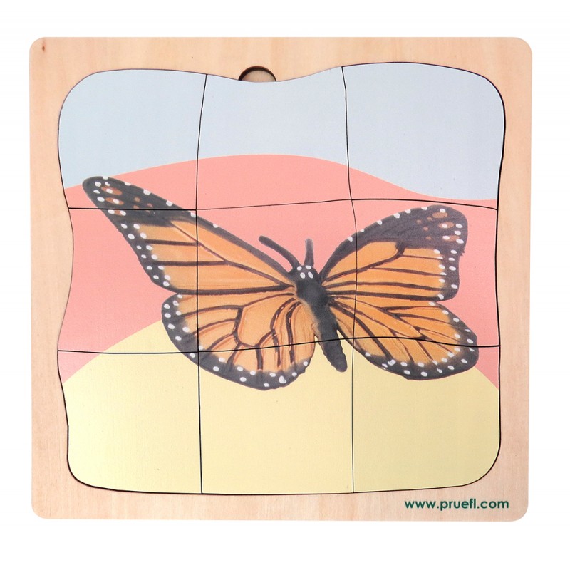 Schmetterling Wachstumspuzzle Schmetterling Wachstumspuzzle