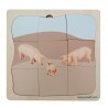 Schwein Familie Wachstumspuzzle Schwein Familie Wachstumspuzzle