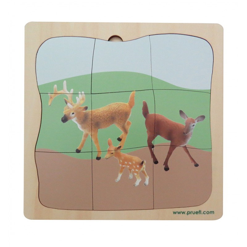 Reh Familie Wachstumspuzzle Reh Familie Wachstumspuzzle