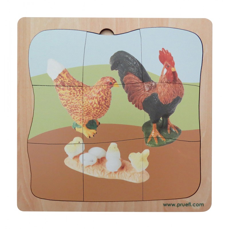 Chicken Family Growth Puzzle