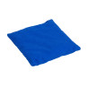 Bohnensäckchen: blau Bohnensäckchen: blau