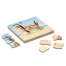 Wachstumspuzzle Krabbe