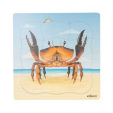 Wachstumspuzzle Krabbe