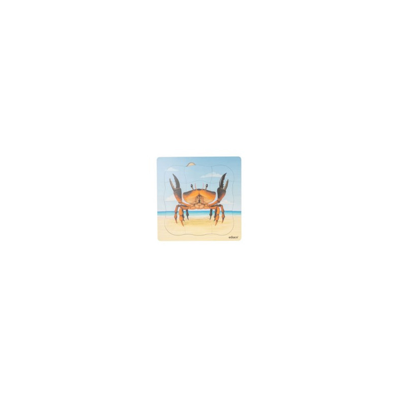 Growth Puzzle Crab