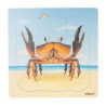Growth Puzzle Crab