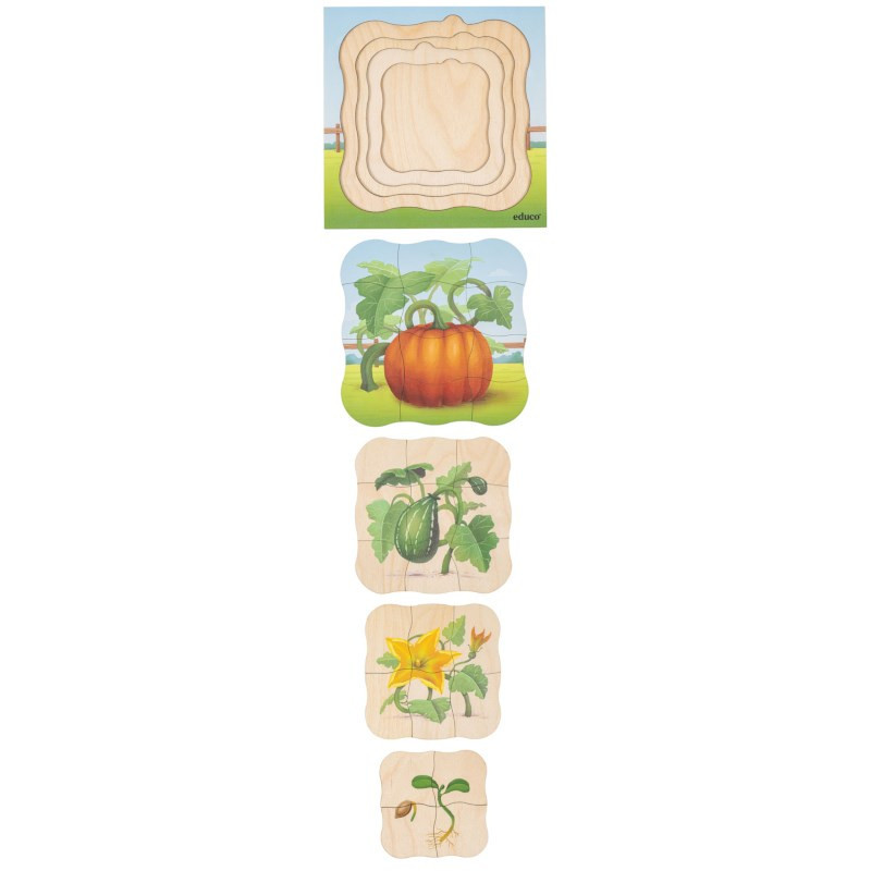 Growth puzzle pumpkin