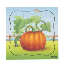 Wachstumspuzzle Kürbis