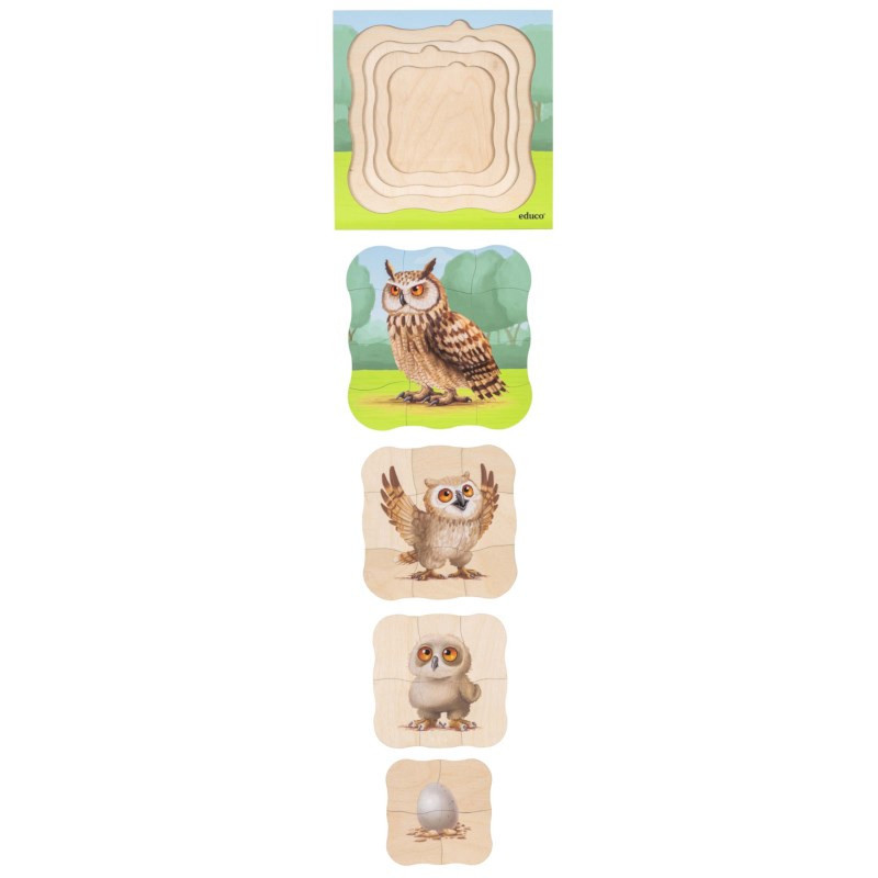Wachstumspuzzle Eule