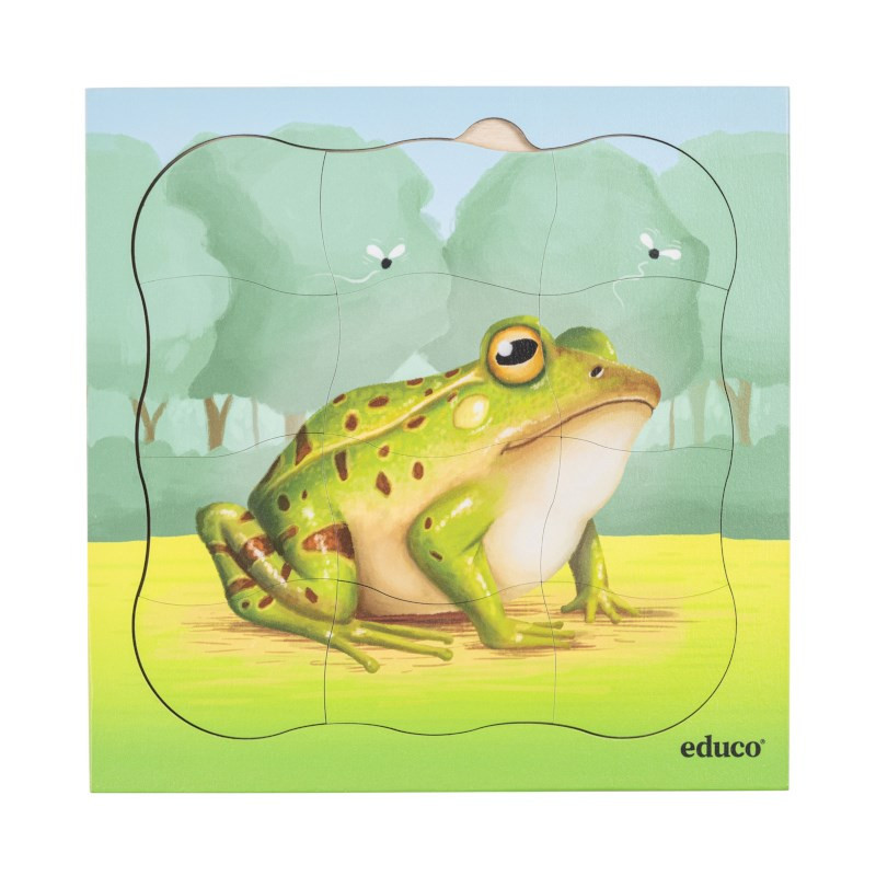 Wachstumspuzzle Frosch