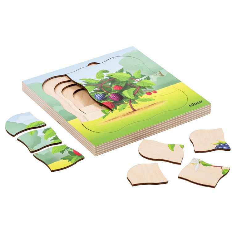 Wachstumspuzzle Brombeerstrauch