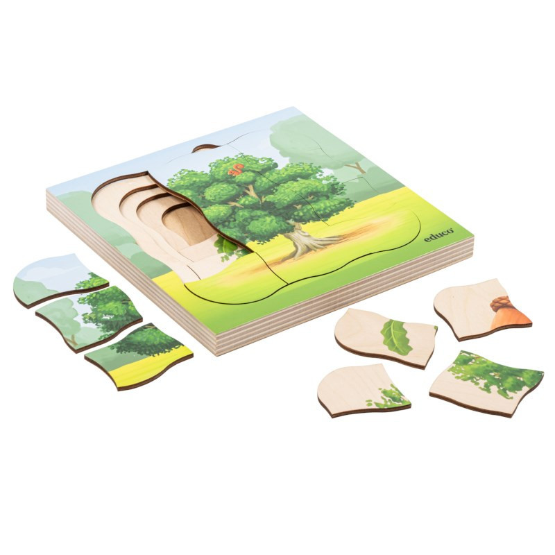Growth puzzle oak