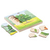 Growth puzzle oak