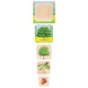 Growth puzzle oak