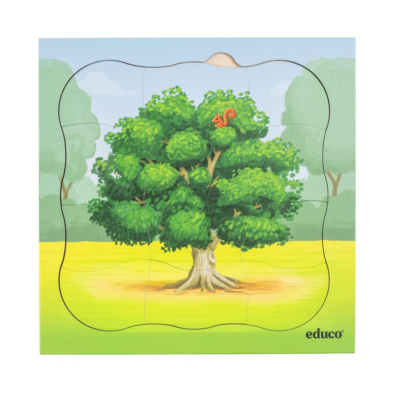 Growth puzzle oak
