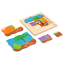 Growth puzzle pear