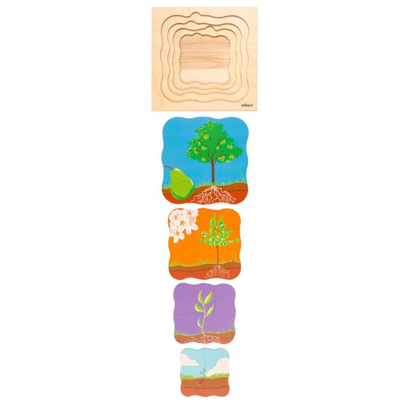 Wachstumspuzzle Birne