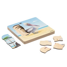 Wachstumspuzzle Pelikan