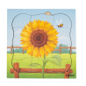 Wachstumspuzzle Sonnenblume