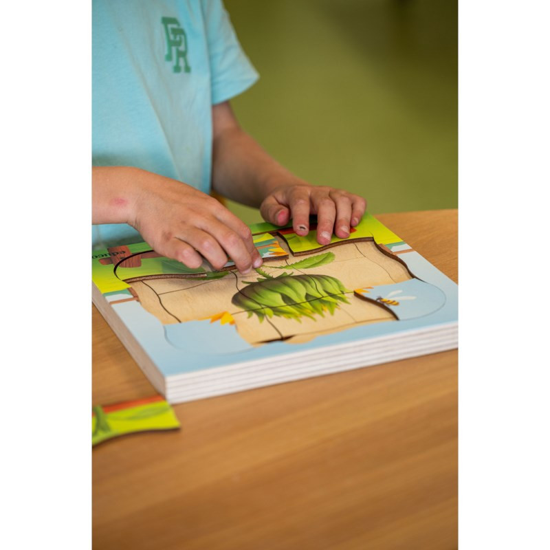 Wachstumspuzzle Sonnenblume