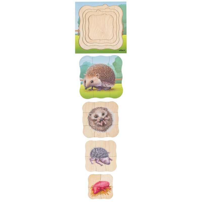 Growth Puzzle Hedgehog
