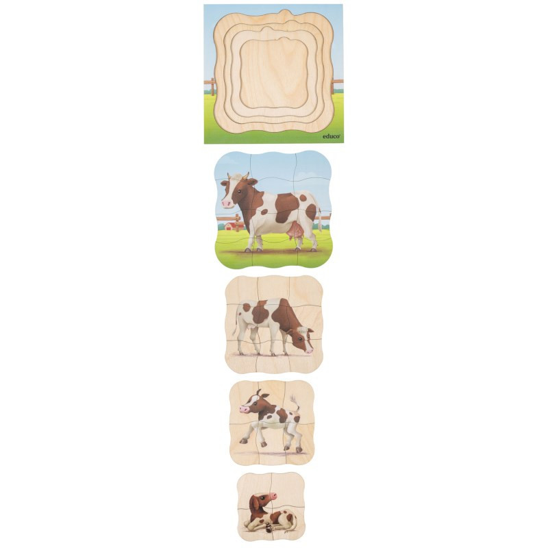 Growth puzzle cow