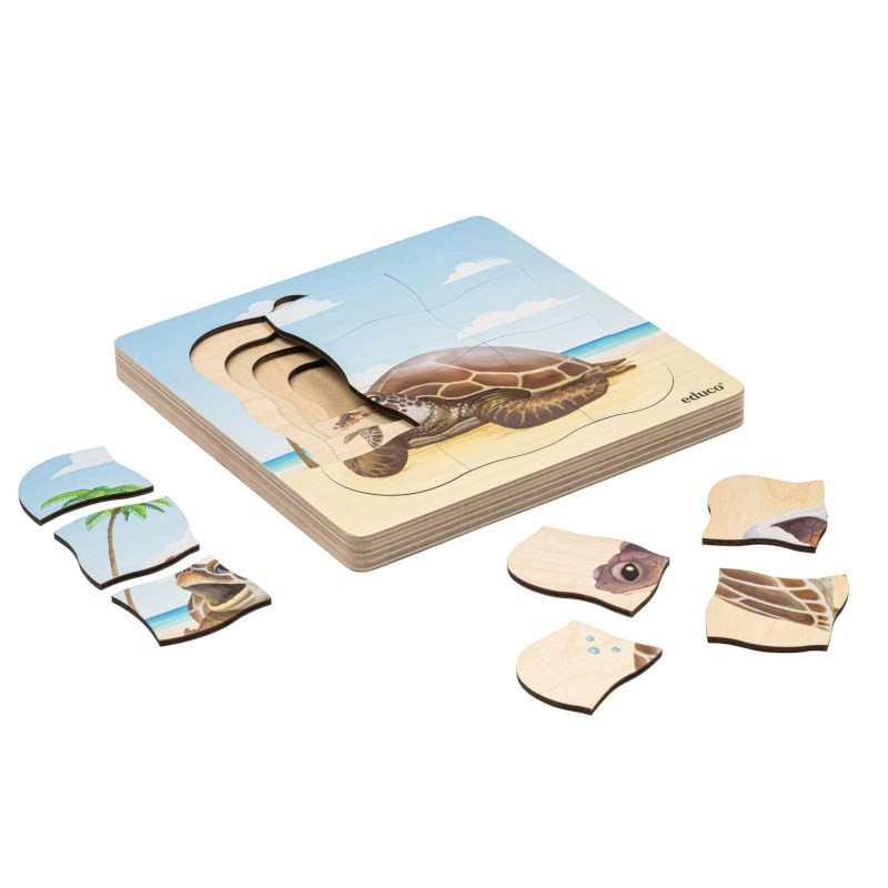 Turtle Growth Puzzle