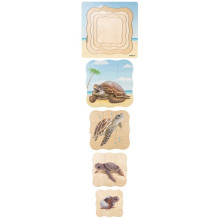 Turtle Growth Puzzle